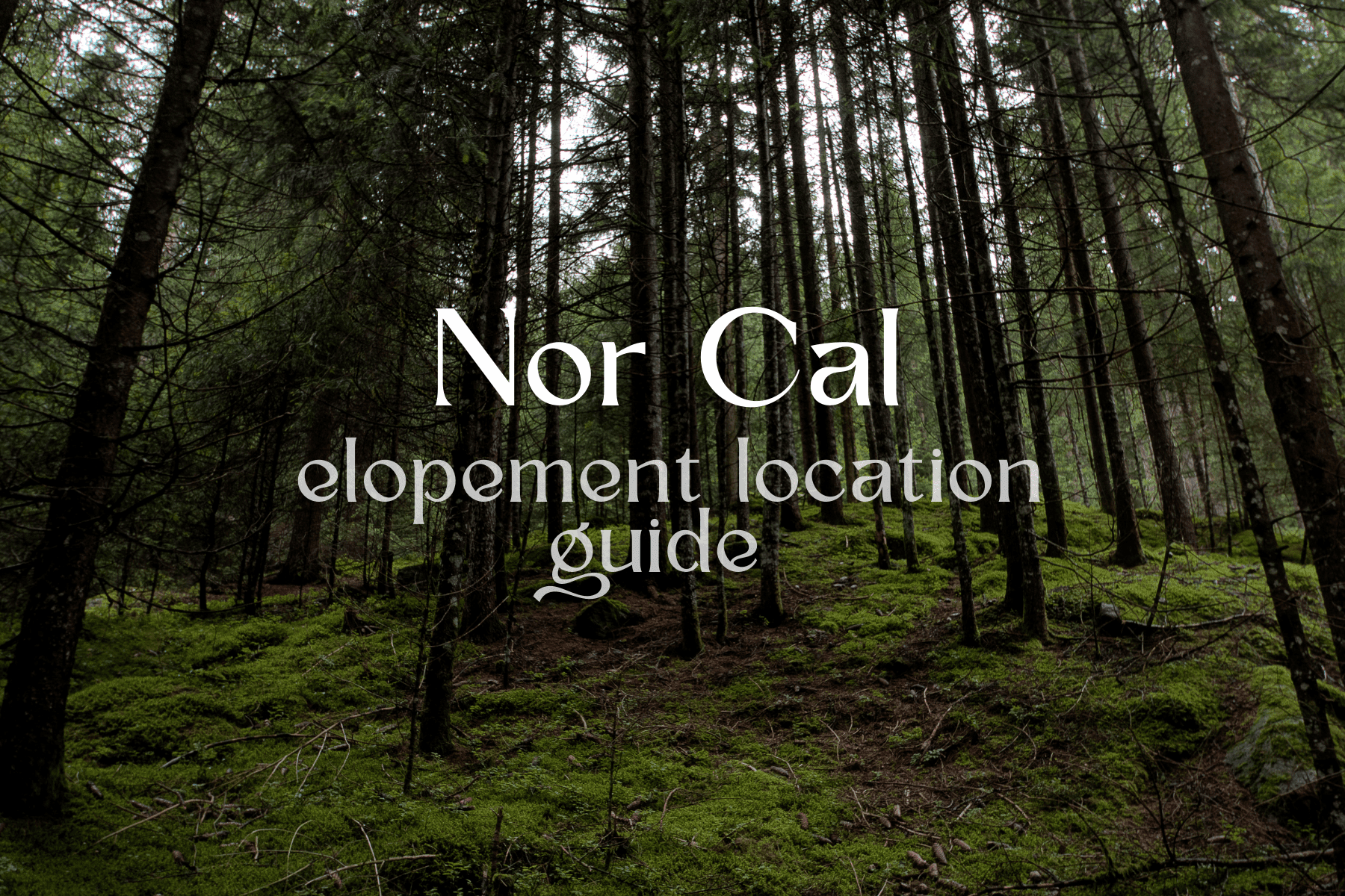 northern california elopement locations